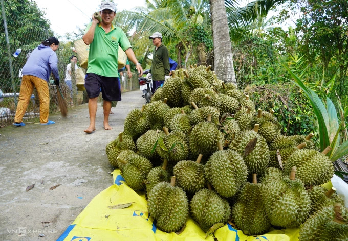 Trung Quốc chi gần 55.000 tỷ đồng mua rau quả Việt
