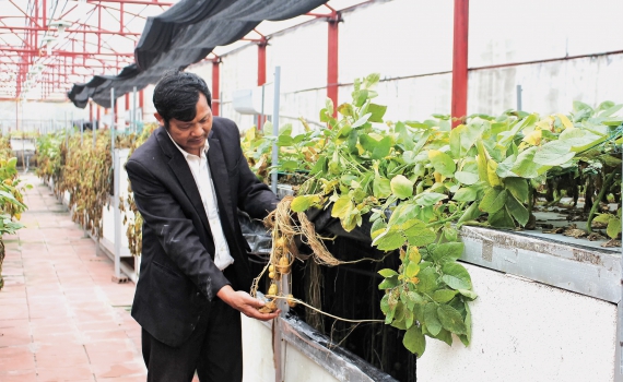 Sản phẩm, mô hình ứng dụng tiến bộ khoa học và công nghệ tiêu biểu
