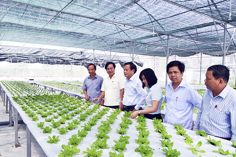 Nhìn lại 5 năm thực hiện đề án tái cơ cấu nông nghiệp