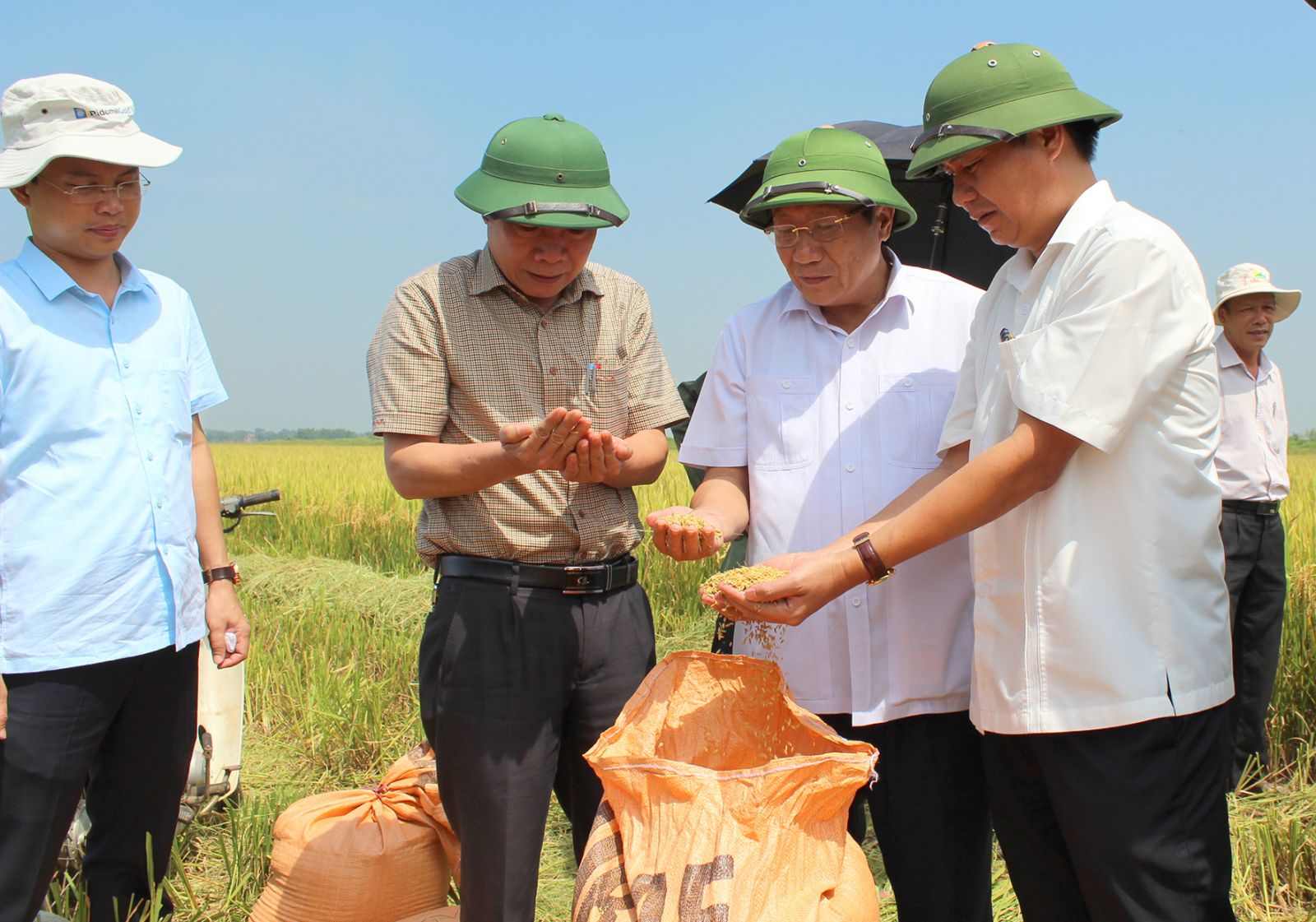 Kiểm tra tình hình sản xuất và thu hoạch vụ đông xuân 2017-2018