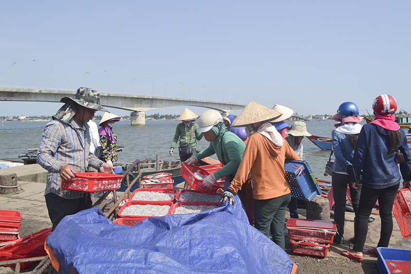 Quảng trị cơ bản hoàn thành chi trả bồi thường sự cố môi trường biển